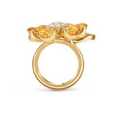 Fleurs D’Hawaï Ring