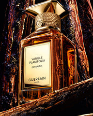 Vanille Planifolia Extrait 21 – Extract