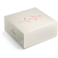 Gladiator Italian Idol