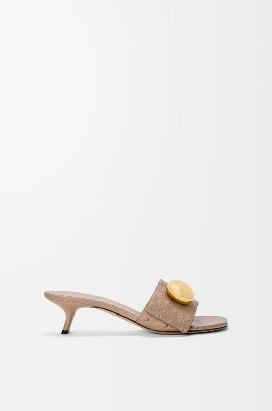 Pebble Slide In Ostrich