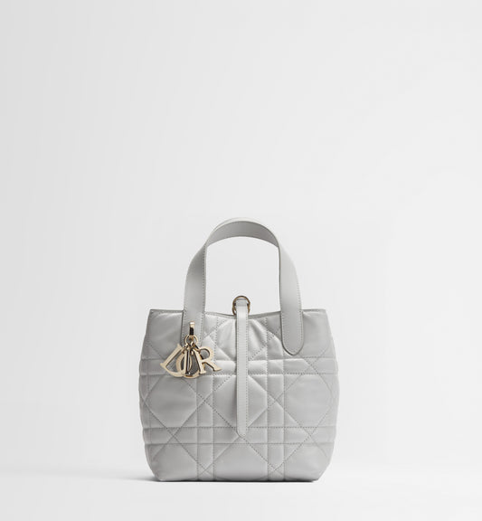 Small Dior Toujours Vertical Tote Bag