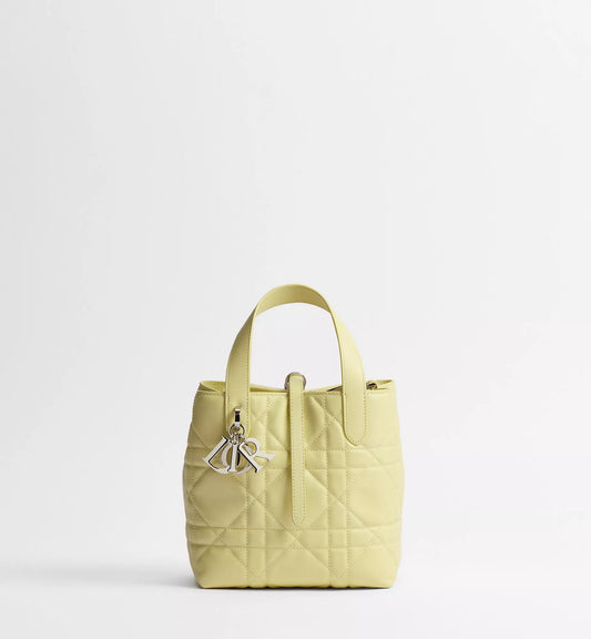 Small Dior Toujours Vertical Tote Bag
