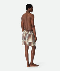 Stripe Nylon Swim Shorts