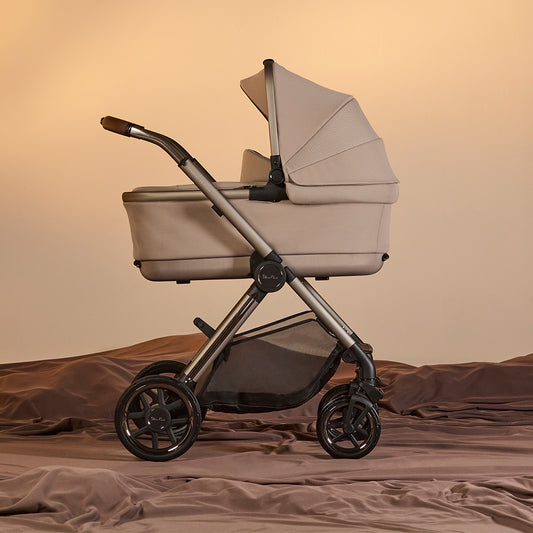 Reef 2 Special Edition