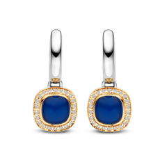 Dolce Small Earrings