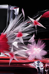 Miss Dior by Maison Février