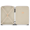 LV x TM Horizon 55 Suitcase