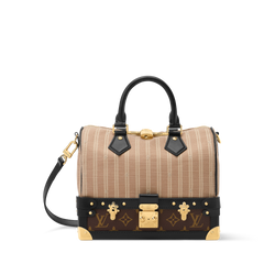 Speedy Bandoulière 22 Bag