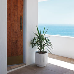 Violane- Bantry Bay, Cape Town