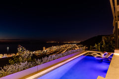 Sealion - Fresnaye, Cape Town