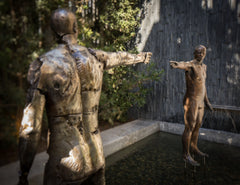 Sealion - Fresnaye, Cape Town