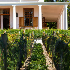 Lapiz Lazuli - Constantia, Cape Town