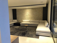 Holly Blue, Cape Town