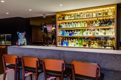 Sealion - Fresnaye, Cape Town