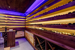 Sealion - Fresnaye, Cape Town