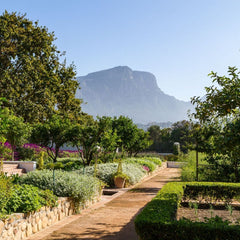 Lapiz Lazuli - Constantia, Cape Town