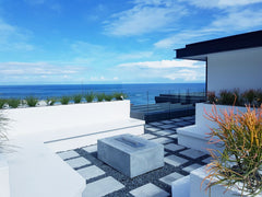 Holly Blue, Cape Town