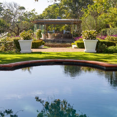 Lapiz Lazuli - Constantia, Cape Town