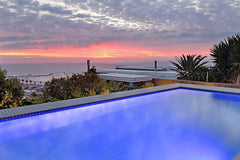 Holly Blue, Cape Town