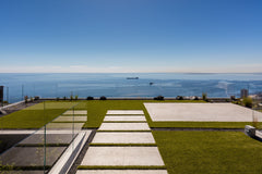 Sealion - Fresnaye, Cape Town