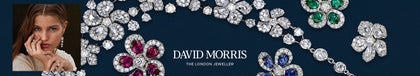David Morris