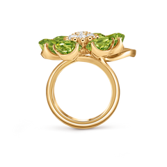 Fleurs D’Hawaï Ring