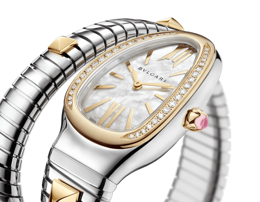 Serpenti Tubogas Gold & Steel Watch