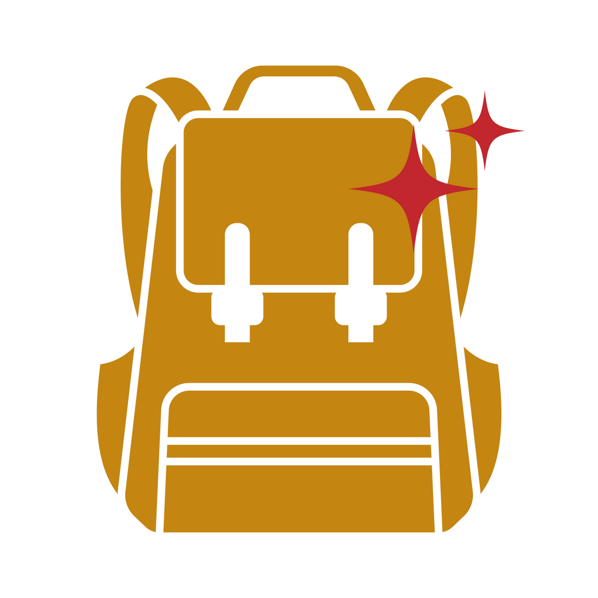 Backpack Zipper & Zipper Pull Repair