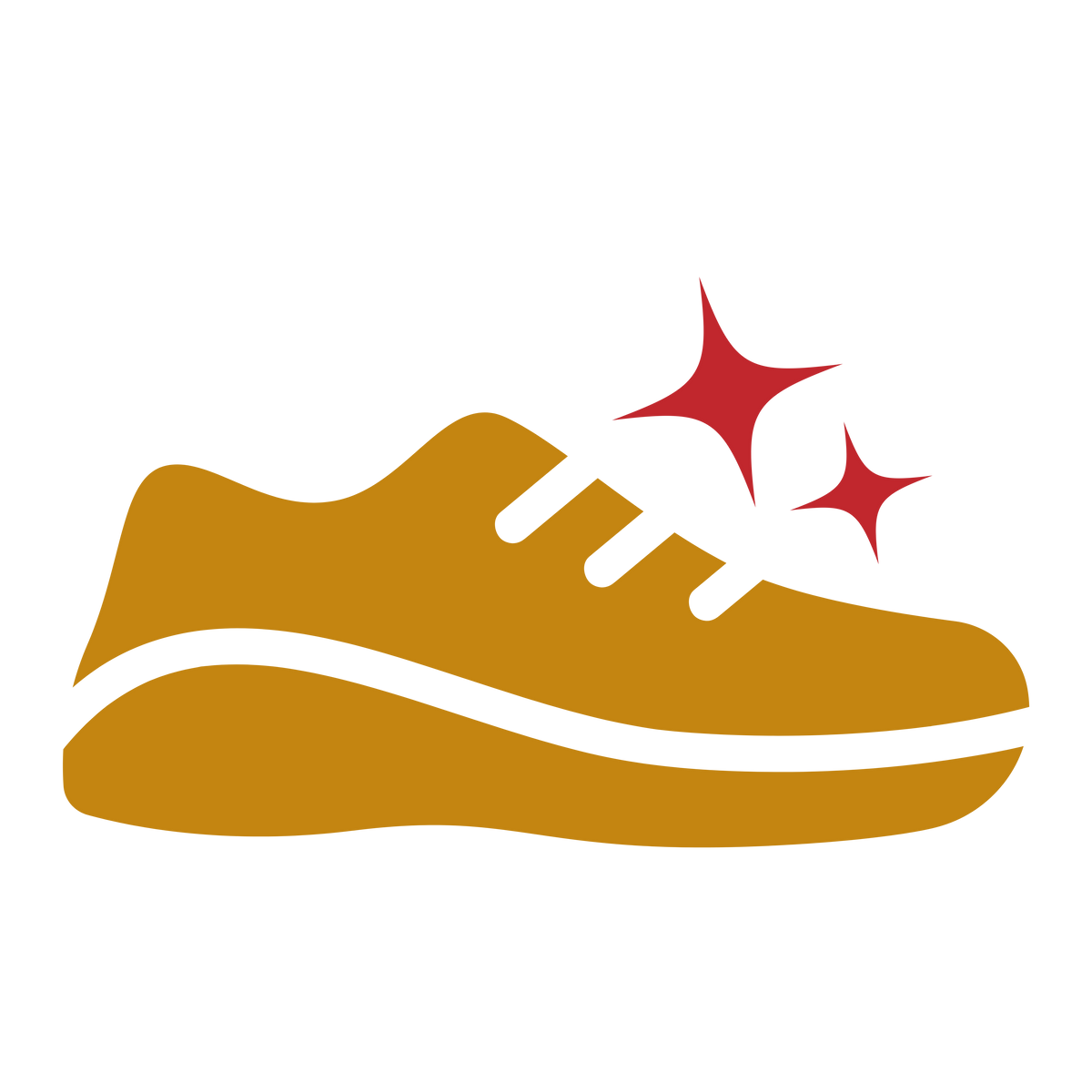 Sneakers Deep Cleaning Package + Nano Coating ' water-proofing '