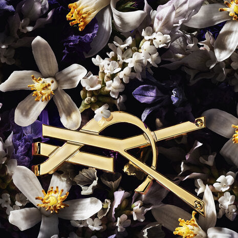 Libre L'absolu Platine