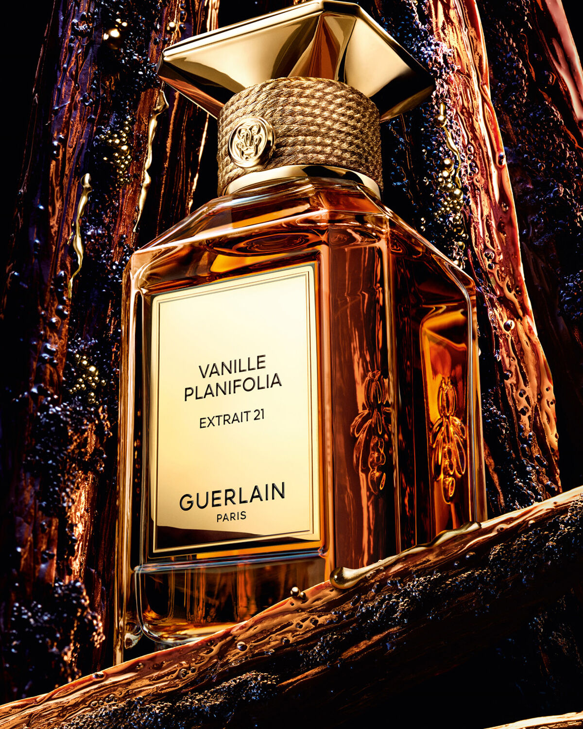 Vanille Planifolia Extrait 21 – Extract