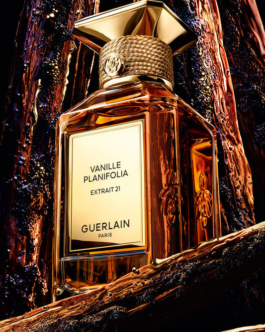Vanille Planifolia Extrait 21 – Extract