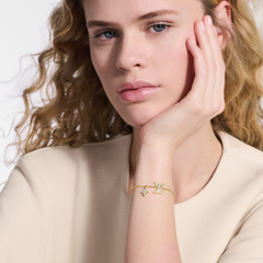 LV Iconic Enamel Bracelet