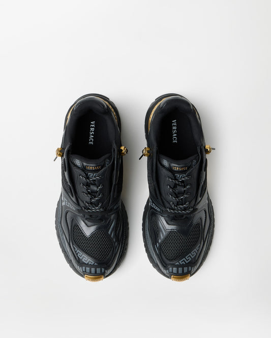 Icaro Mesh & Leather Trainers