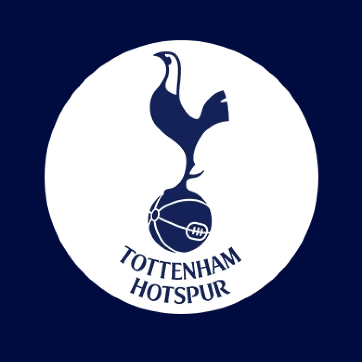 Tottenham Hotspur Premier League Tickets - 25/25 Season