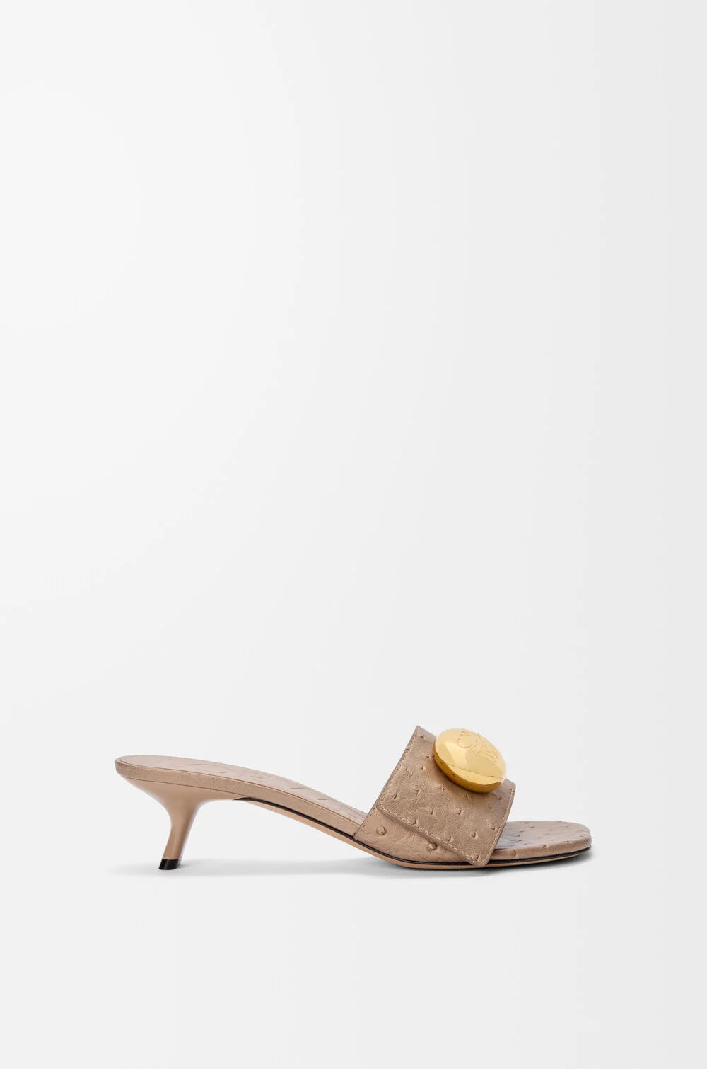 Pebble Slide In Ostrich