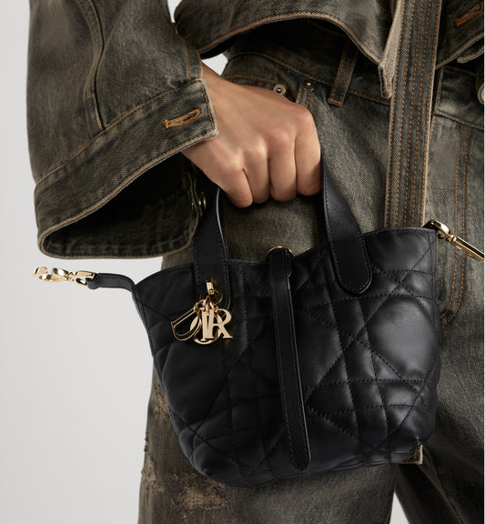 Dior Toujours Vertical Nano Tote Bag