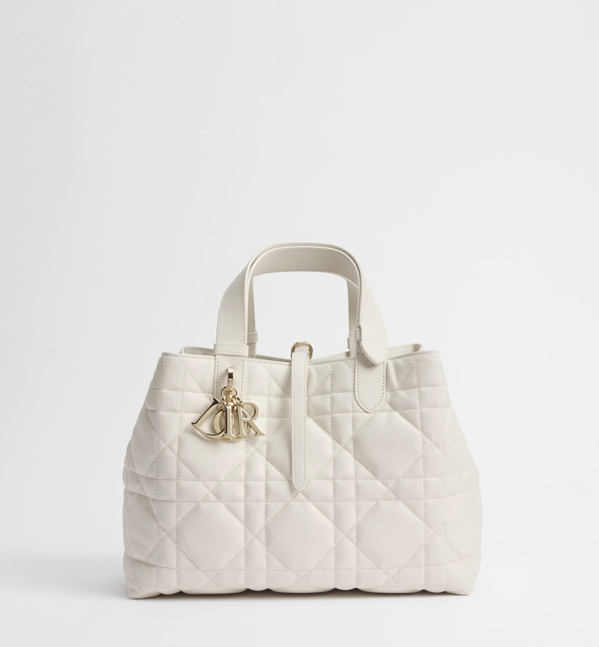 Medium Dior Toujours Bag