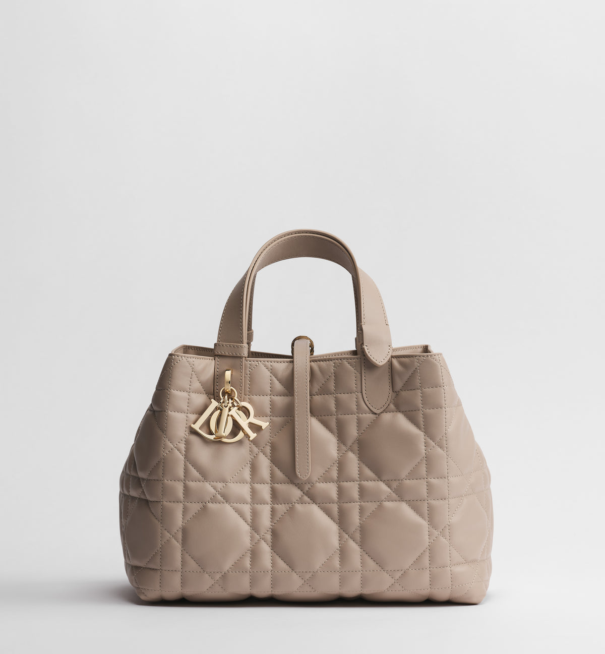 Medium Dior Toujours Bag
