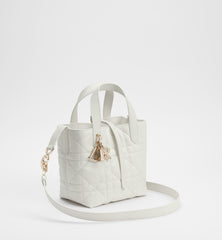 Small Dior Toujours Vertical Tote Bag