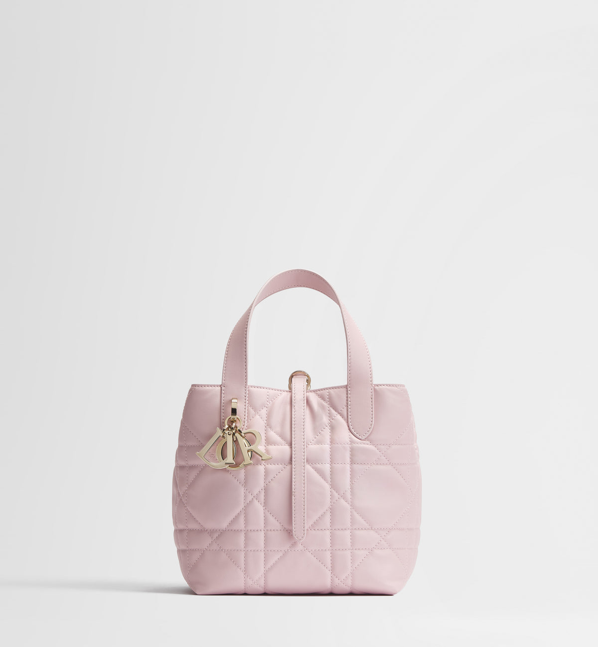 Small Dior Toujours Vertical Tote Bag