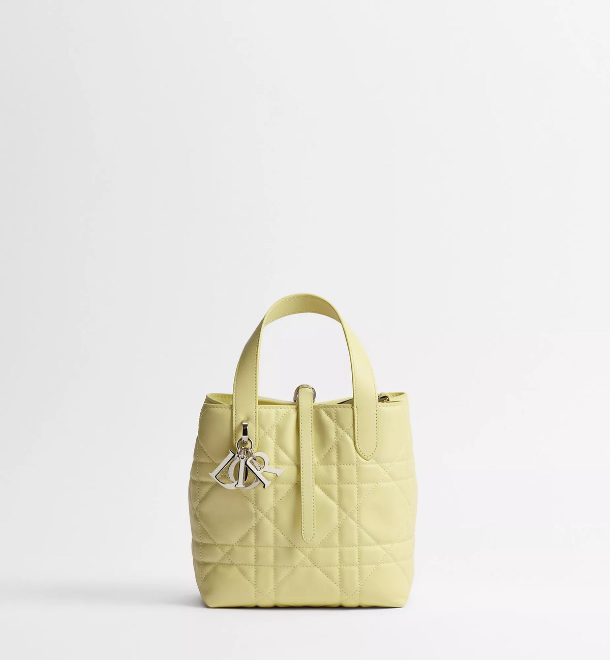 Small Dior Toujours Vertical Tote Bag