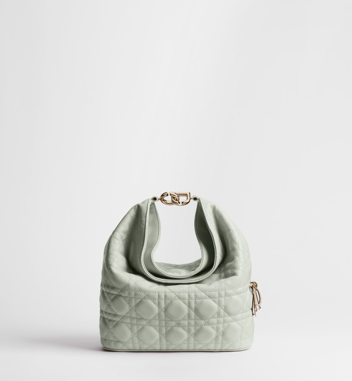 Small Dior Toujours Hobo Bag