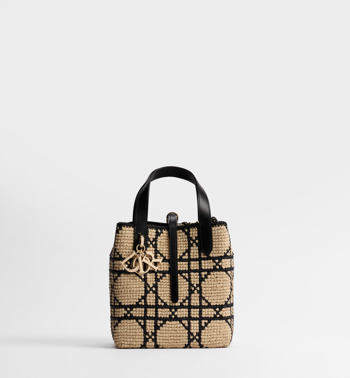 Small Dior Toujours Vertical Tote Bag