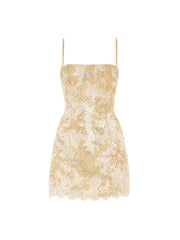 Riviera Mini Dress