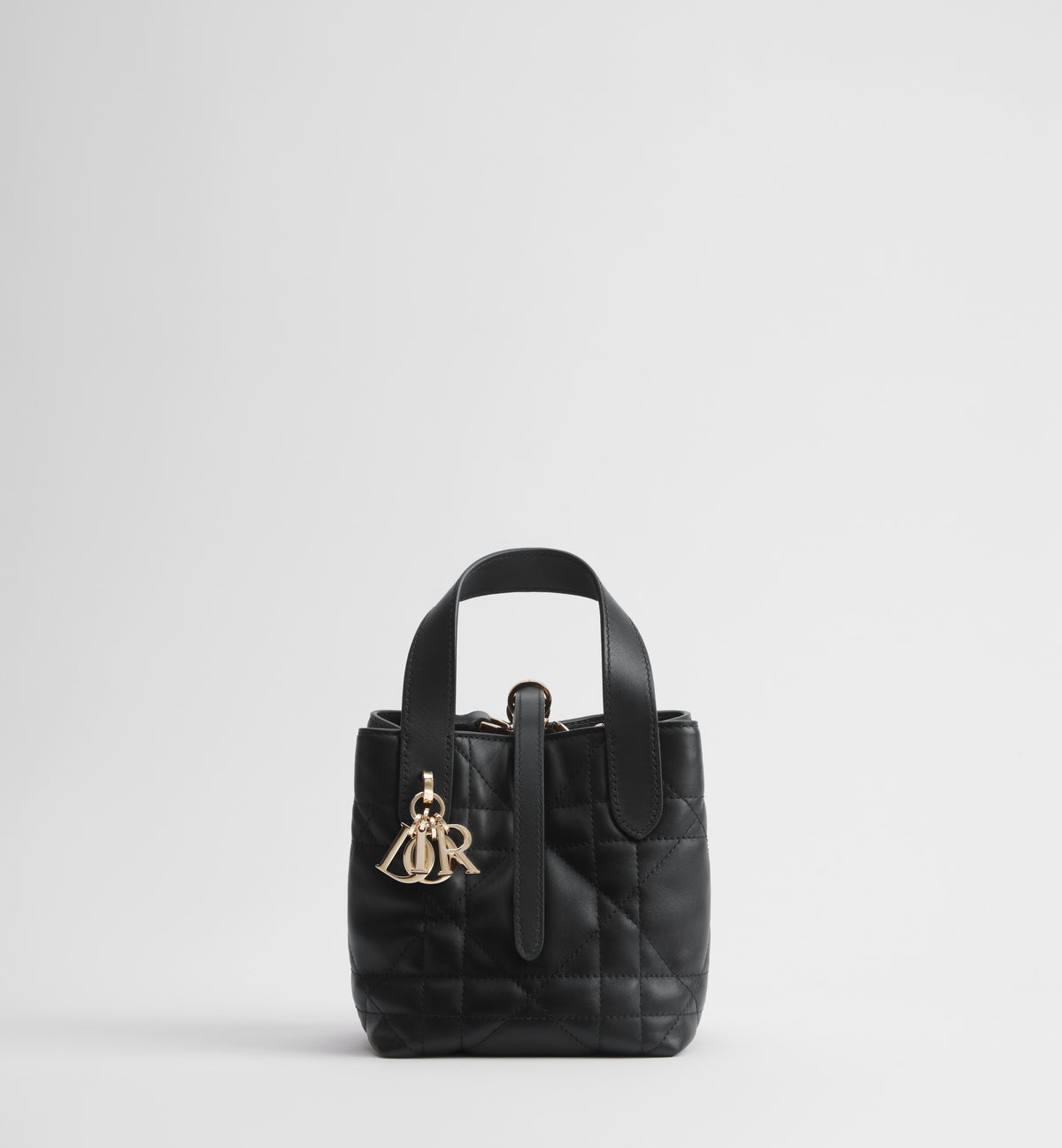 Dior Toujours Vertical Nano Tote Bag