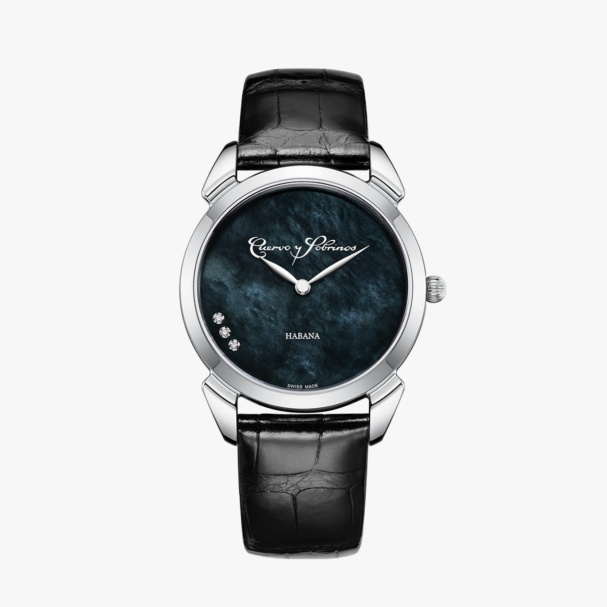 Historiador Primera Dama