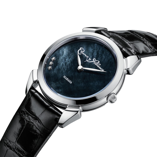 Historiador Primera Dama