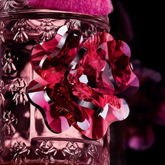 Cherry Blossom