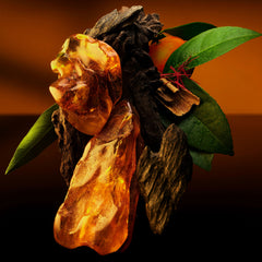 Ambre Levant